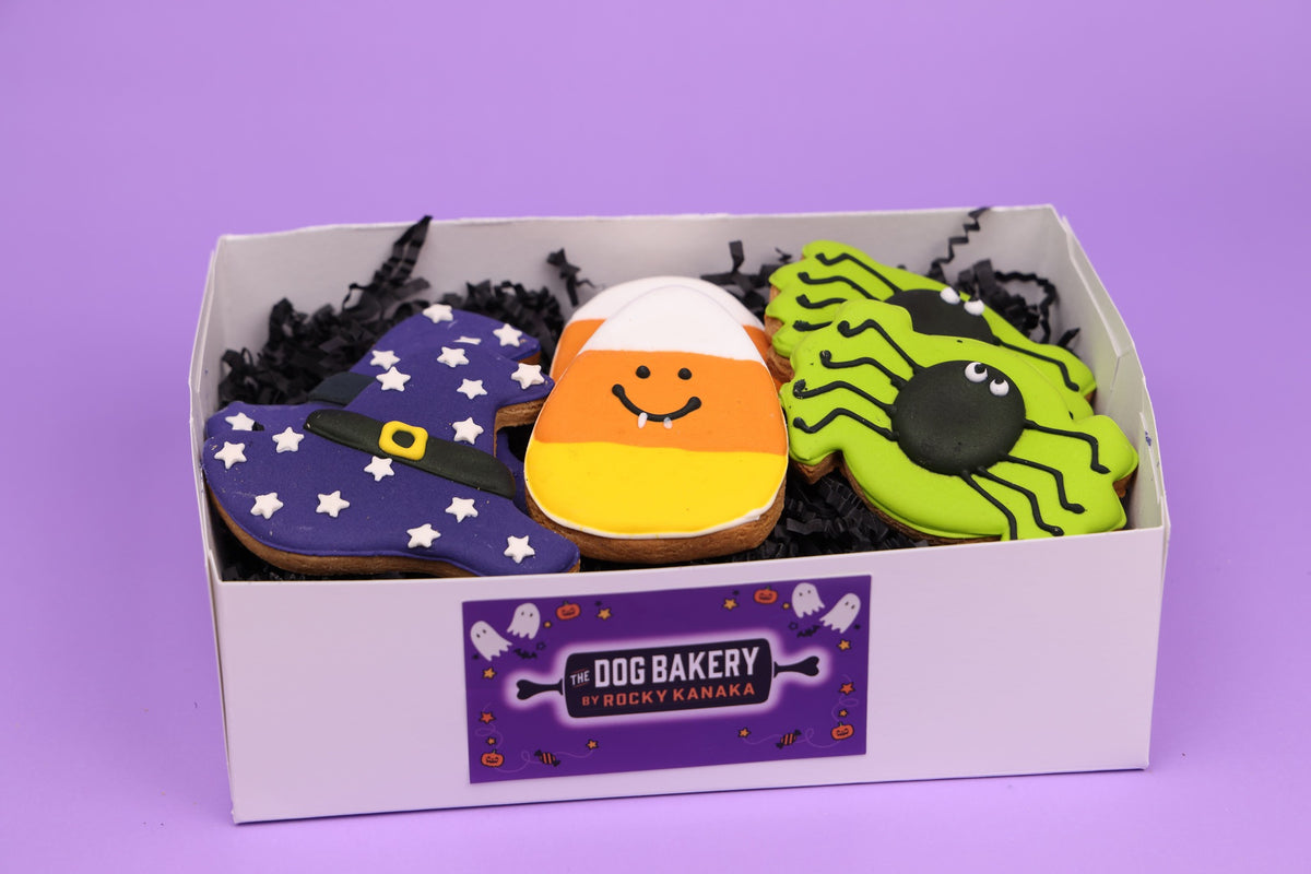 Halloween Cookies for Dogs