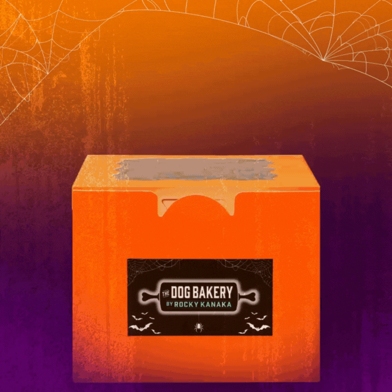 Lick or Treat Halloween Bundle