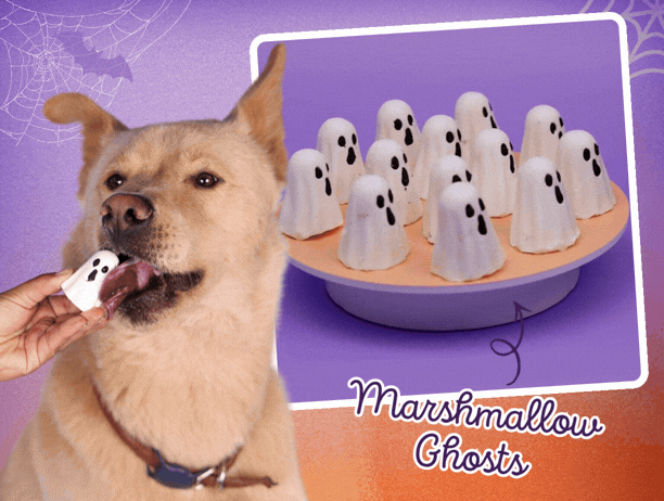 Howl-O-Ween Bakery Box