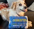 Dogbuster Membership Card