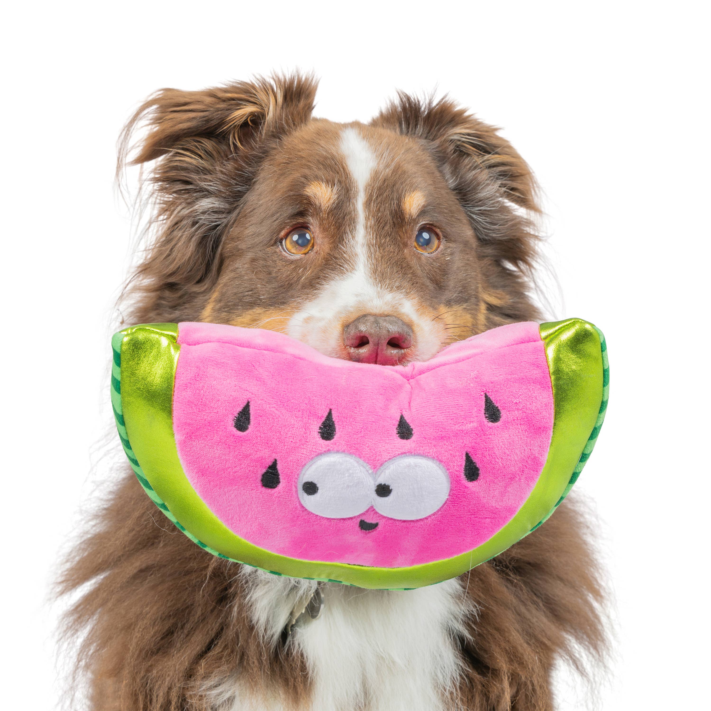 Watermelon Plush Toy