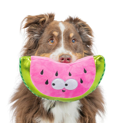 Watermelon Plush Toy