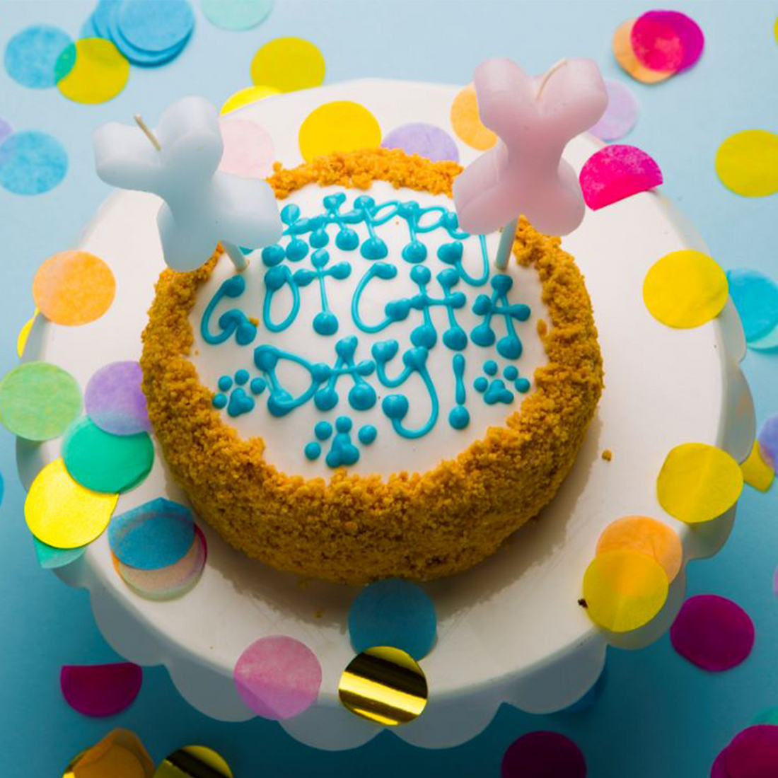 Celebration Cakes