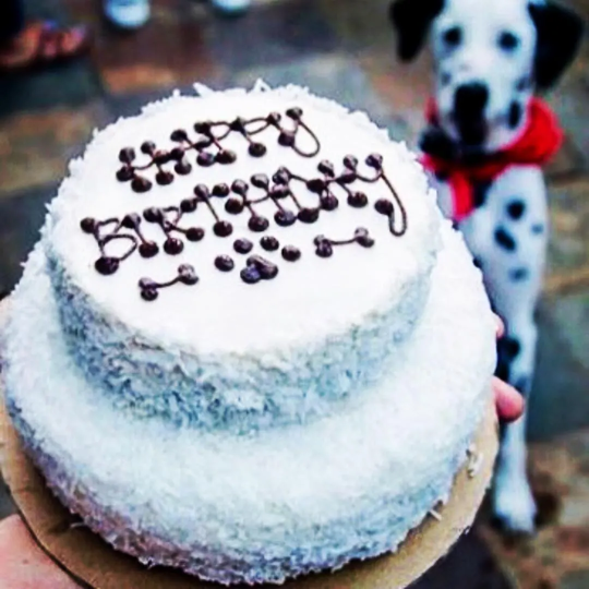 Dog birthday online cake brooklyn