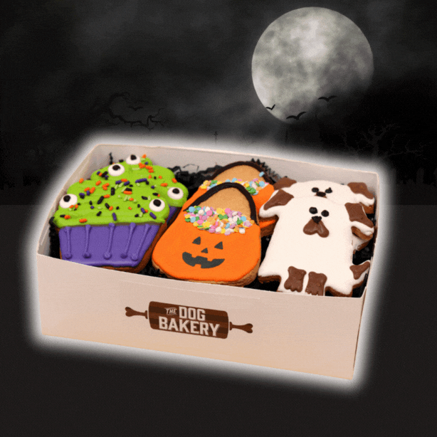 Halloween Dog Cookies