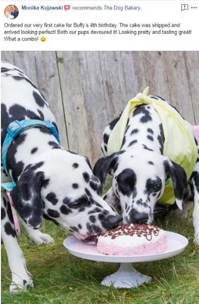 Dog birthday cake clearance brooklyn