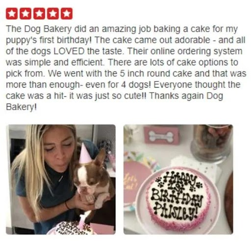 Dog clearance bakery belmont