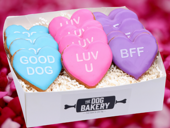 Valentine Conversation Heart Cookies for Dogs