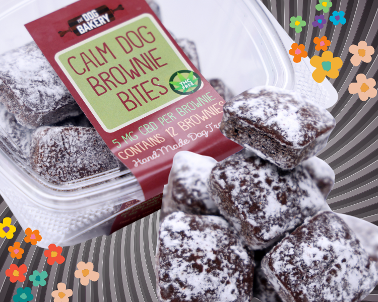 Calm Dog Brownie Bites with CBD