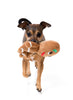 Gingerbread Boy Toy For Dogs