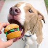 burger for dogs