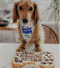 Birthday Bandanas For Dogs