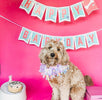 dog birthday party banner