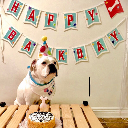 {"alt"=>"Dog Birthday Banner"}