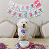 Birthday banner for dogs