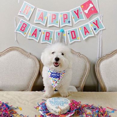 {"alt"=>"Dog Birthday Banner"}