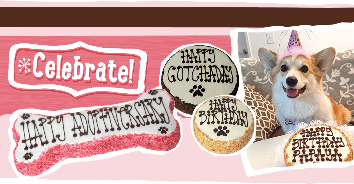 Order Birthday Cake for Dog and Puppy from The Dog Bakery