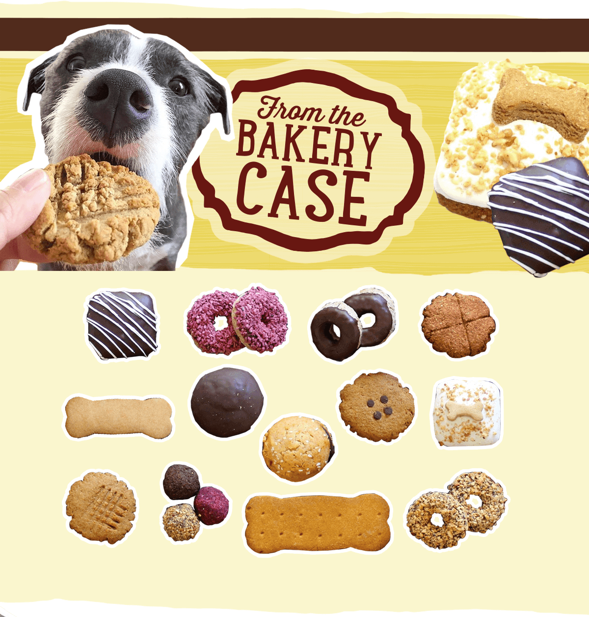 All Natural Baked Dog Food & Treats – The Dog Bakery