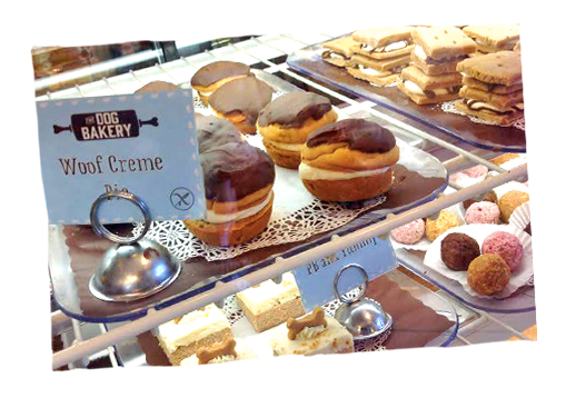 Dog bakeries online