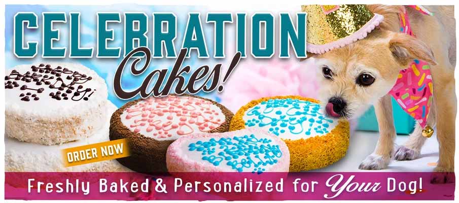 Order a cake – The Dog Bakery